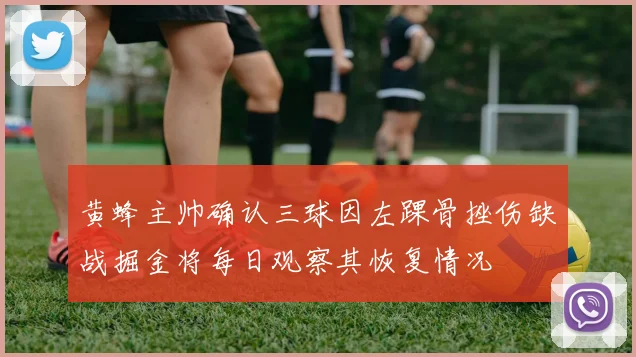 黄蜂主帅确认三球因左踝骨挫伤缺战掘金将每日观察其恢复情况