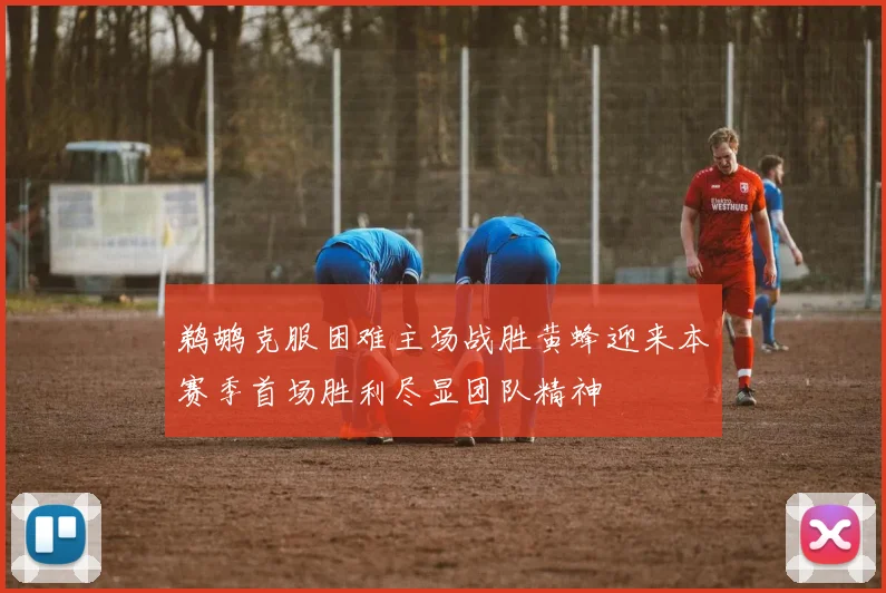鹈鹕克服困难主场战胜黄蜂迎来本赛季首场胜利尽显团队精神